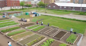 Urban Farming's Impact on Local Communities: Empowering Neighbourhoods