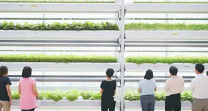 The Social Benefits of Vertical Farming: Empowering Local Communities through Urban Agriculture