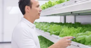 The Latest Technologies and Innovations Inside a Modern Vertical Farm