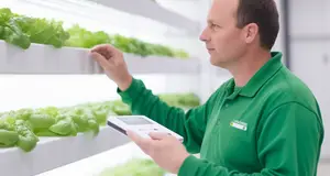 How Automation Is Changing the Nature of Work in Vertical Farms